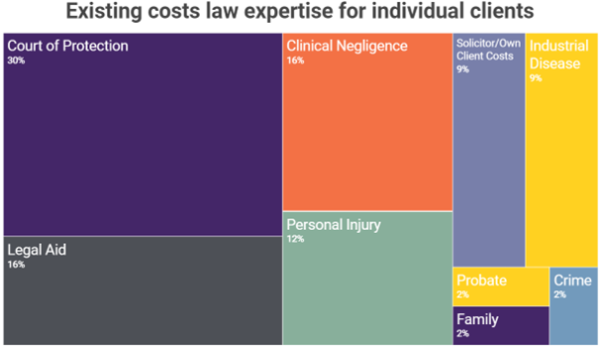 Existing costs law individual image v2